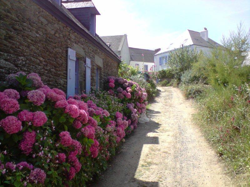 La Breizh'Ilienne Villa Groix Buitenkant foto